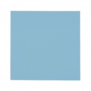 Thermal Grizzly Minus Pad Pro - 100x 100x 1.0 mm  (TG-MP-P-100-100-10)
