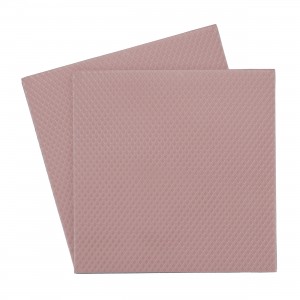 Thermal Grizzly Minus Pad 8 - 100x 100x 1.0 mm - 2 pcs (TG-MP8-100-100-10-2R)