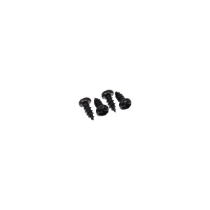 Alphacool Self-tapping Screw DIN 7981 2.2x5mm (Suitable for Alphacool LCD Mount) - 4 pcs (94281)