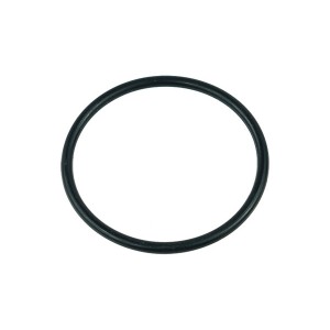 Replacement O-Ring for Laing D5/Alphacool VPP655/Alphacool VPP755/Swiftech MCP655 Pumps (95068)