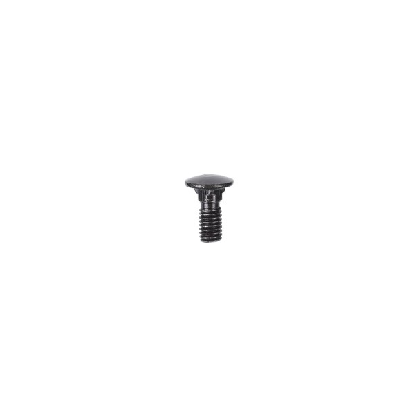 Alphacool Eiskoffer - Carriage Bolt M5 x 10 (90364)