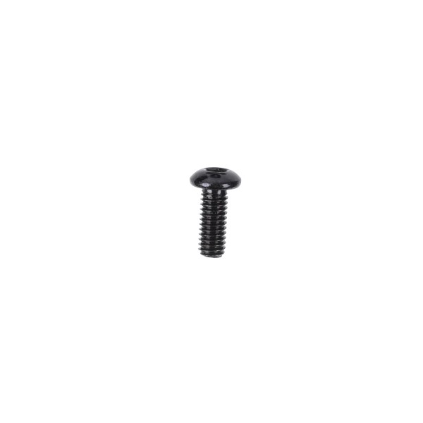 Alphacool Eiskoffer - Flat-head Socket Head Cap Screw M4X10 (90369)