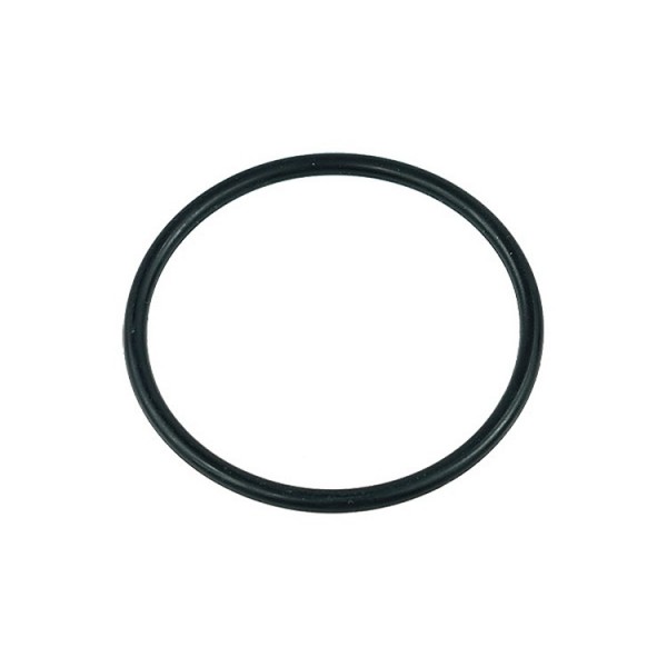 Replacement O-Ring for Laing D5/Alphacool VPP655/Alphacool VPP755/Swiftech MCP655 Pumps (95068)