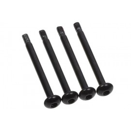 Alphacool Eisberg / Eisbaer Radiator Screw M3 x 37mm - 4 Pcs (24691)